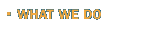 What We Do